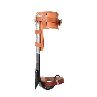 Thiết bị leo cây Thiết bị leo cây chuyên nghiệp